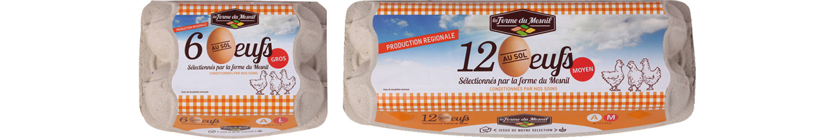 nos œufs au sol